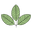 Ecotique logo